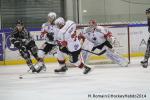 Photo hockey match Rouen - Briançon  le 28/01/2014