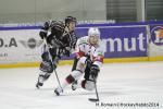 Photo hockey match Rouen - Briançon  le 28/01/2014