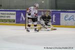 Photo hockey match Rouen - Briançon  le 28/01/2014