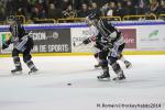Photo hockey match Rouen - Briançon  le 28/01/2014