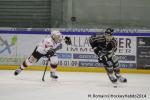 Photo hockey match Rouen - Briançon  le 28/01/2014