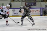 Photo hockey match Rouen - Briançon  le 28/01/2014