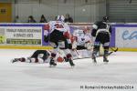 Photo hockey match Rouen - Briançon  le 28/01/2014