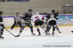 Photo hockey match Rouen - Briançon  le 28/01/2014