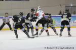 Photo hockey match Rouen - Briançon  le 28/01/2014