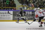 Photo hockey match Rouen - Briançon  le 28/01/2014