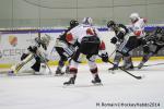 Photo hockey match Rouen - Briançon  le 28/01/2014