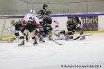 Photo hockey match Rouen - Briançon  le 28/01/2014