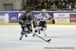 Photo hockey match Rouen - Briançon  le 28/01/2014