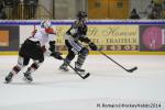Photo hockey match Rouen - Briançon  le 28/01/2014