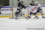Photo hockey match Rouen - Briançon  le 28/01/2014