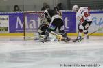 Photo hockey match Rouen - Briançon  le 28/01/2014