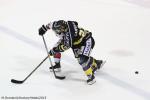 Photo hockey match Rouen - Briançon  le 10/01/2015