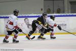 Photo hockey match Rouen - Briançon  le 10/01/2015