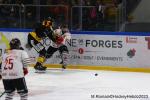 Photo hockey match Rouen - Briançon  le 15/01/2023