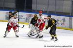 Photo hockey match Rouen - Briançon  le 08/11/2024