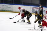 Photo hockey match Rouen - Briançon  le 08/11/2024