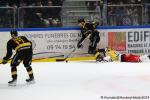 Photo hockey match Rouen - Briançon  le 06/12/2024