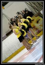 Photo hockey match Rouen - Briançon  le 28/03/2008