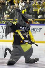 Photo hockey match Rouen - Briançon  le 09/10/2010