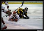 Photo hockey match Rouen - Briançon  le 29/03/2008