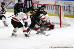 Photo hockey match Rouen - Chamonix  le 07/01/2026