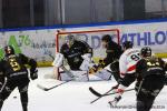 Photo hockey match Rouen - Chamonix  le 07/01/2026