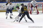 Photo hockey match Rouen - Gap  le 27/02/2026