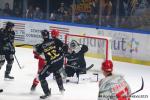 Photo hockey match Rouen - Grenoble  le 24/10/2025