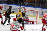 Photo hockey match Rouen - Grenoble  le 24/10/2025