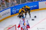 Photo hockey match Rouen - Grenoble  le 01/02/2026