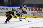 Photo hockey match Rouen - Marseille le 19/09/2025