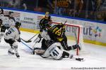 Photo hockey match Rouen - Marseille le 19/09/2025