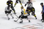 Photo hockey match Rouen - Marseille le 21/12/2025