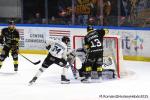 Photo hockey match Rouen - Marseille le 21/12/2025