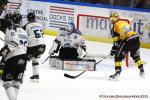 Photo hockey match Rouen - Marseille le 21/12/2025