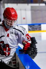 Photo hockey match Toulouse-Blagnac - Annecy le 17/01/2026