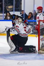 Photo hockey match Toulouse-Blagnac - Annecy le 17/01/2026
