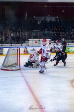 Photo hockey match Toulouse-Blagnac - Annecy le 17/01/2026