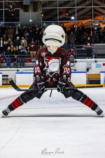 Photo hockey match Toulouse-Blagnac - Clermont-Ferrand le 13/12/2025