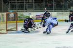 Photo hockey match Toulouse-Blagnac - Courchevel-Méribel-Pralognan le 23/11/2019