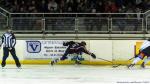 Photo hockey match Toulouse-Blagnac - Courchevel-Méribel-Pralognan le 23/11/2019