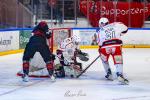 Photo hockey match Toulouse-Blagnac - Dijon  le 31/01/2026