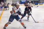 Photo hockey match Toulouse-Blagnac - Montpellier  le 21/02/2026
