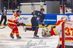 Photo hockey match Toulouse-Blagnac - Orléans le 08/03/2025