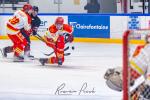 Photo hockey match Toulouse-Blagnac - Orléans le 08/03/2025
