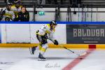 Photo hockey match Toulouse-Blagnac - Roanne le 15/11/2025
