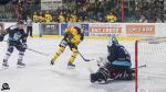 Photo hockey match Tours  - Chambéry le 14/12/2024