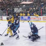 Photo hockey match Tours  - Chambéry le 14/12/2024