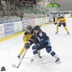 Photo hockey match Tours  - Chambéry le 14/12/2024